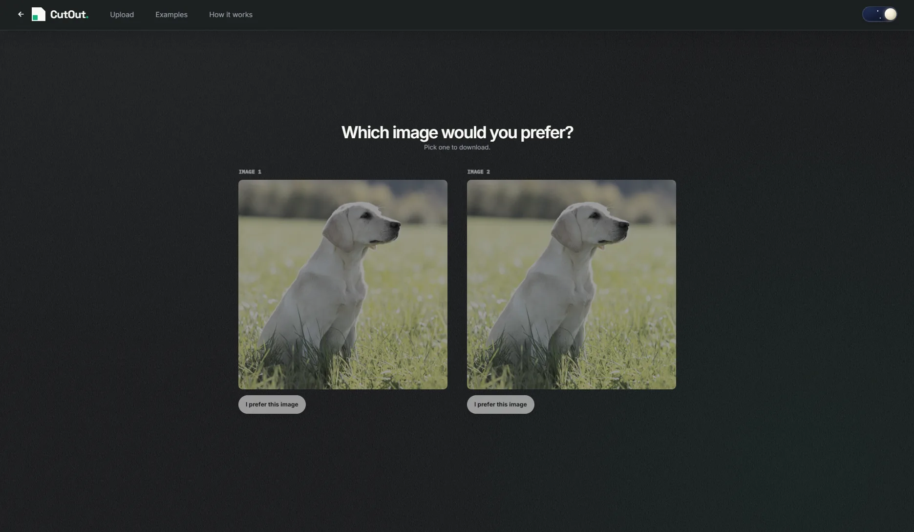 Step 2 Compare dual AI results